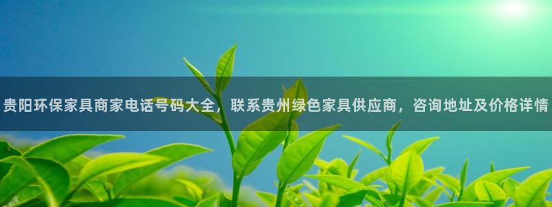 杏耀注册登录中心：贵阳环保家具商家电话号码大全，联系贵州绿色