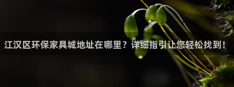 杏耀平台注册登录：江汉区环保家具城地址在哪里？详细指引让您轻