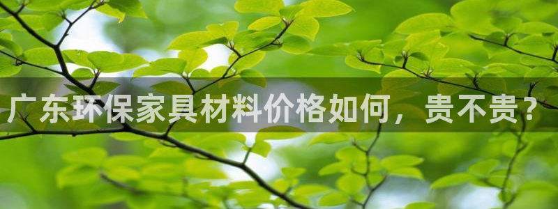 杏耀平台登录地址：广东环保家具材料价格如何，贵不贵？